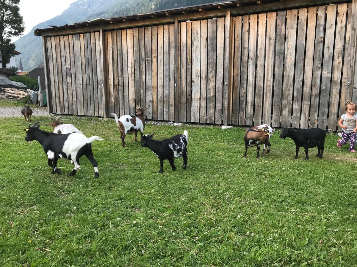 Pony-Ziegen-Hasen-Ranch Bichlbach 아파트 외부 사진